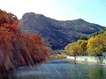 新澳天天开奖资料大全旅游团，护花使者全集